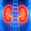 diabetes kidney damage Solapur