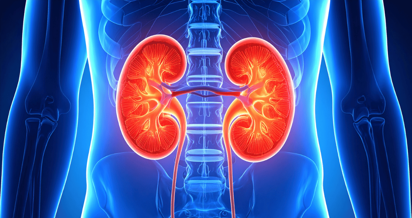 diabetes kidney damage Solapur